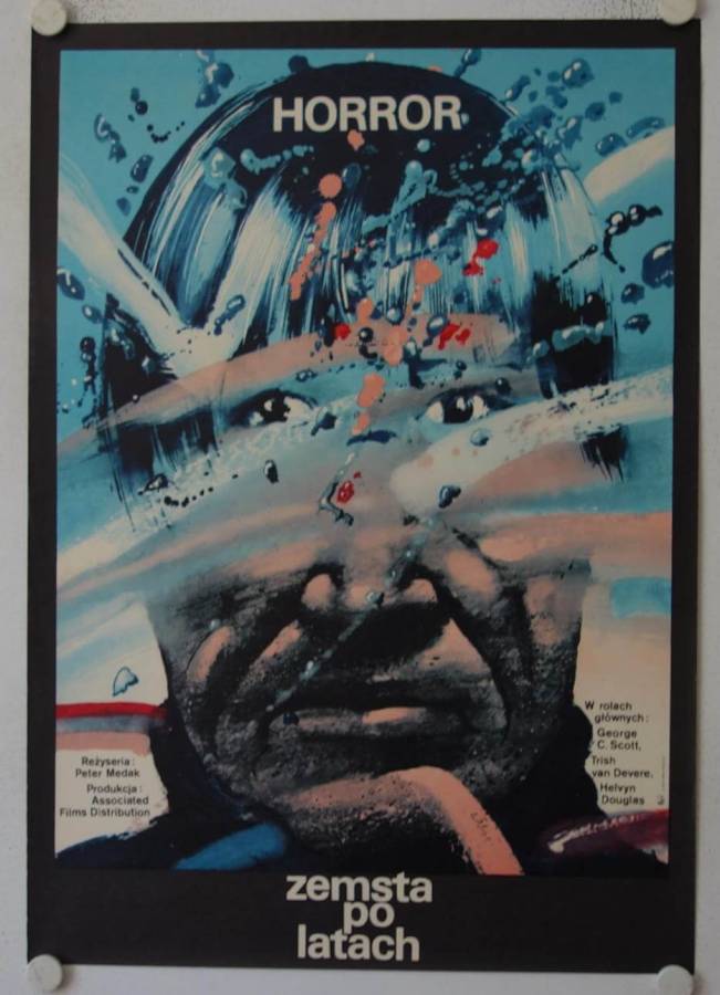 Das Grauen originales polnisches Filmplakat